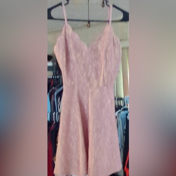 Francesca's Collections Blush Lace Dress - Picture 1 of 4